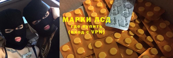 гашик Дмитриев