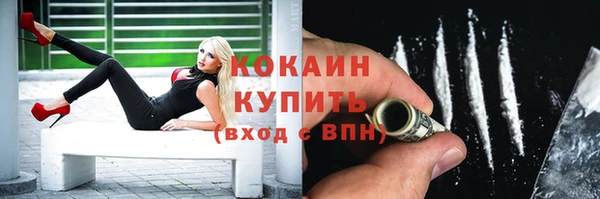 дживик Гусев