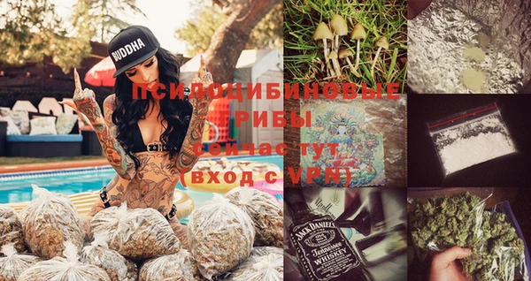 гашик Дмитриев