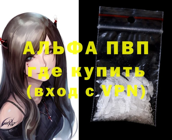 гашик Дмитриев