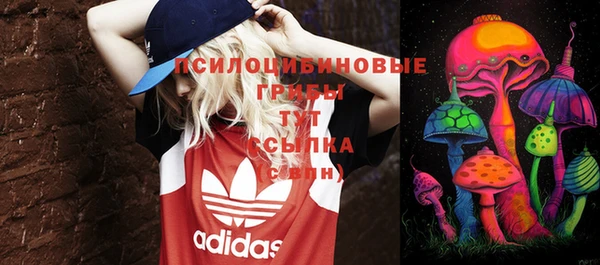 МДПВ Дмитровск